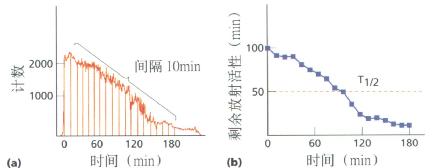 图示(a)试餐后碘衰变曲线,(b)餐后各时间段放射性活性剩余量